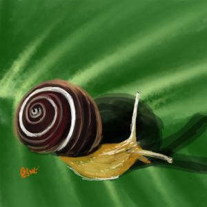 Shell